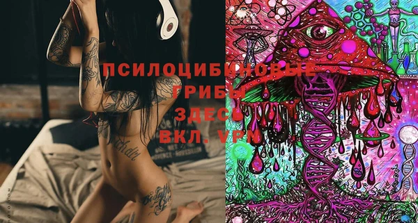 прущая мука Новодвинск